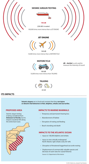 Seismic Airgun Testing Oceana Infographic